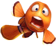 fish-bet-icon